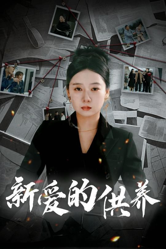 新爱的供养海报